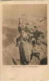 CP1823N V&acirc;rful Ineului (2280 m) &ndash; Kuhhornspitze, carte poștală, 1926