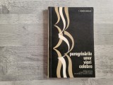 Peregrinarile unor viori celebre de I.Remer-Anselme