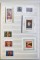 icon 7