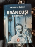 Alexandru Buican - Br&acirc;ncuși: O biografie (Editura Artemis, 600 pagini) - Carte