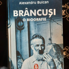 Alexandru Buican - Brancusi - O biografie