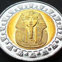 Moneda exotica bimetal 1 POUND - EGIPT, anul 2008 *cod 1932 B