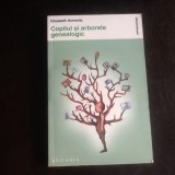 Copilul si arborele genealogic - Elisabeth Horowitz