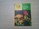 CIUPERCILE IN NATURA SI IN VIATA OMULUI - Valeria Barbu - 1976, 106 p.