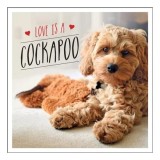 Love Is a Cockapoo