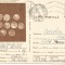 (A) carte postala-ARAD-Tezaurul de argint Satul Nou-Monede republicane romane