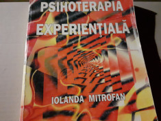 PSIHOTERAPIA EXPERIENTIALA - IOLANDA MITROFAN, INFOMEDICA 1997,360 P FORMAT A4 foto