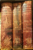 A new english dictionary-3 volume-1888