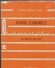 Un Spatiu De Dor - Radu Carneci
