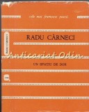 Un Spatiu De Dor - Radu Carneci