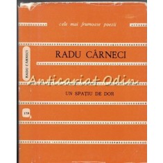 Un Spatiu De Dor - Radu Carneci