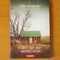 John Steinbeck - Către un zeu necunoscut