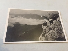 Borsa Maramures 1943 foto