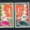 Congo 1964 - Jocurile Olimpice, serie neuzata