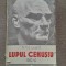 Lupul cenusiu - Petre Ghiata