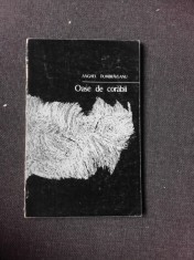 OASE DE CORABII, POEME - ANGHEL DUMBRAVEANU (CU DEDICATIA AUTORULUI PENTRU PETRU VINTILA)
