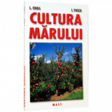 Cultura Marului, mast