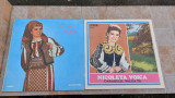 Vinyl Nicoleta Voica vintage