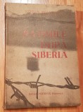 Patimile dupa Siberia de Stefan Moldovan