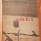 Patimile dupa Siberia de Stefan Moldovan