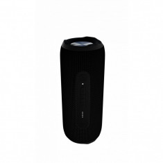 Boxa portabila Evelatus EBS03 L, 25W, IPX7, Bluetooth 5.0, AUX, functie de baterie externa, microfon incorporat, Negru foto