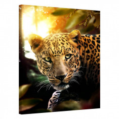 Tablou Canvas, Tablofy, Leopard, Printat Digital, 40 &times; 50 cm