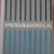 PEDAGOGIA-DANCSULY A., CHIRCEV A., MANOLACHE A. SI COLAB.-228877