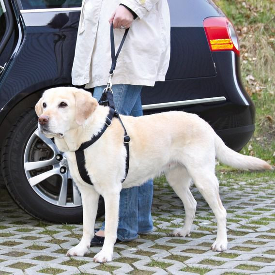 Lesă c&acirc;ine, tip centură de siguranță mașină- culoare neagră, 27 cm