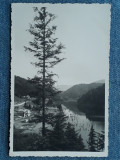 311 - Regiunea Lacului Rosu 1938 Fotofilm / lacul / Ghilcos / necirculata, Fotografie