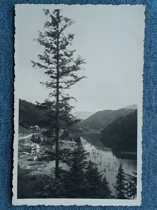 311 - Regiunea Lacului Rosu 1938 Fotofilm / lacul / Ghilcos / necirculata