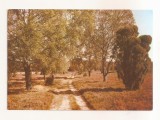 FA163 - Carte Postala - GERMANIA - Luneburger Heide, circulata