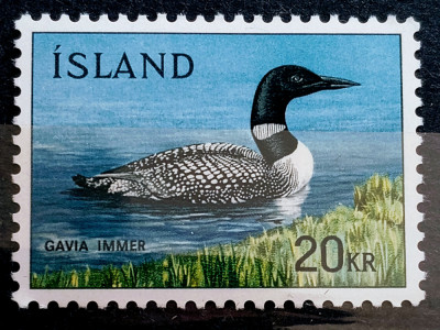 Islanda 1967 rațe, păsări fauna serie 1v neștampilata foto