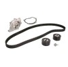 Kit distributie + pompa apa Dexwal 07311WP