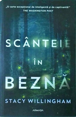 Stacy Willingham - Scanteie in bezna foto