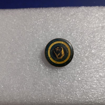 Insigna A S Hidromin Petrosani foto