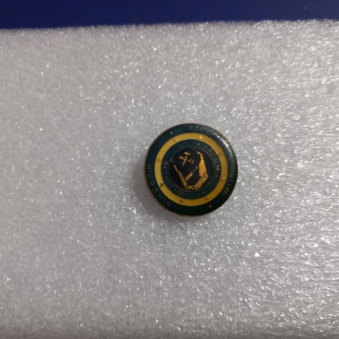 Insigna A S Hidromin Petrosani