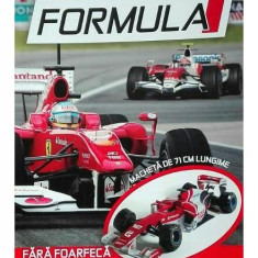 Construiește-ți un bolid de Formula 1 - Paperback brosat - *** - Girasol