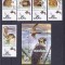 PASARI DE PRADA CU VIGNETA + BLOC,2007,MNH,ROMANIA.