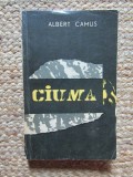 ALBERT CAMUS - CIUMA