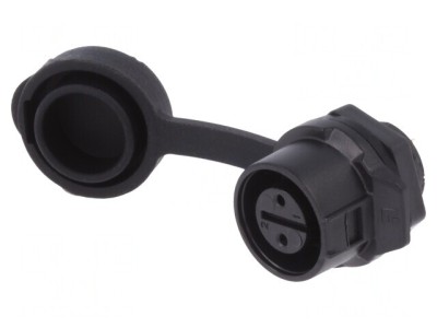 Conector Circular Soclu 12 2-PIN Aurit 5A Mamă foto