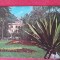 CPIB 23464 CARTE POSTALA - BAILE HERCULANE. PARCUL, CIRCULATA, 1974, STAMPILA, TIMBRU