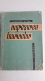 Ingrasarea taurinelor - I. Angelescu, 1964, Alta editura