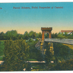 1261 - CRAIOVA, Bibescu Park, Bridge, Romania - old postcard, CENSOR - used 1917