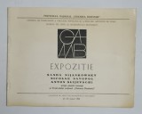 S. NIJANKOWSKY , N. SAVOPOL , A. SLIJEVSCHI , CATALOG DE EXPPOZITIE , 1981