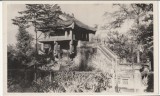 Vietnam, pagoda Hanoi, anii &#039;50, Circulata, Fotografie