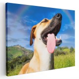 Tablou caine cu limba scoasa in natura Tablou canvas pe panza CU RAMA 50x70 cm