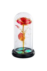 Trandafir criogenic &icirc;n cupolă de sticlă,