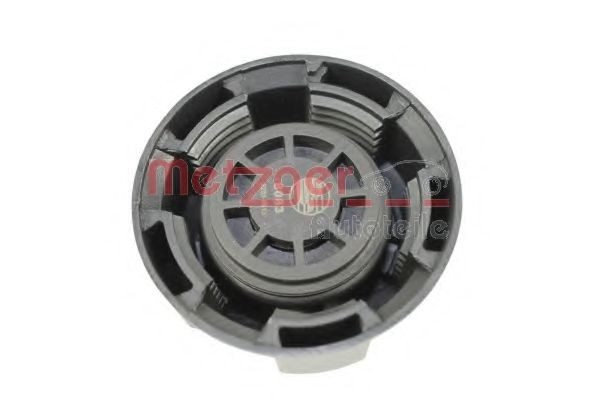 Buson vas expansiune antigel FIAT SCUDO combinato (220P) (1996 - 2006) METZGER 2140081