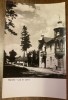 QW25 M - Carte postala - tematica turism - vedere - Malnas 1, Necirculata, Fotografie, Covasna