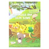 Animale din alte zone - Carte de colorat cu abtibilduri